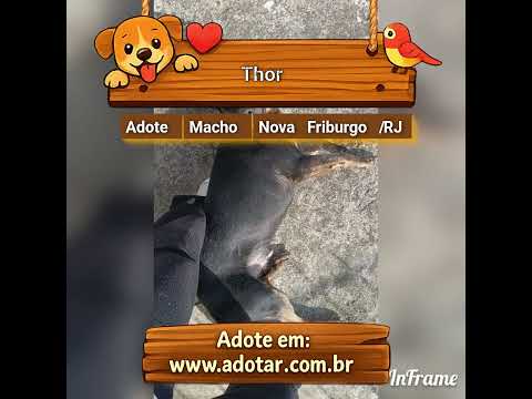 Vídeo de Thor