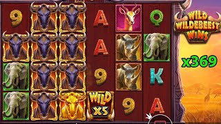Wild Wildebeest Wins Slot Bonus Game Big Win x369 Online Casino