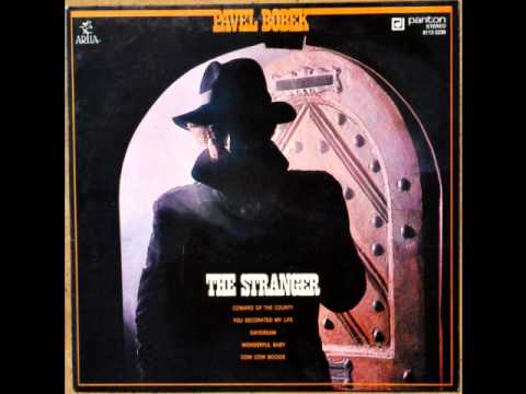 Pavel Bobek, Walk On The Wild Side