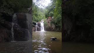 Nhảy th&aacute;c giảm nhi&ecirc;̣t | Cliff jumping in Dalat city of Vietnam #Shorts