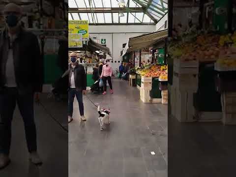 Nuovo Mercato Esquilino a ROMA