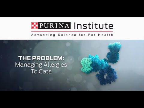 Cat Allergies: The Problem