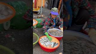 🇻🇳Vietnam, Da lat 2024 Walking Tour #Vietnam #Walking #Travel #Shorts