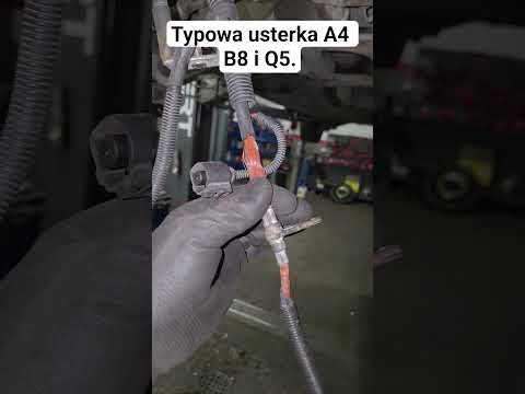 Gdy wymieniłeś już rozrusznik, akumulator i alternator a Audi dalej ciężko odpala.