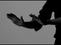 Brandon Flowers - Still Want You (as mixed by ...