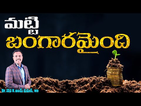 మట్టి బంగారమైంది - Gold out Dust - Dr. Noah