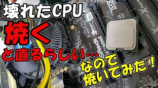 【実験】壊れたCPUを焼くと直るという噂を聞いたので、オーブンで焼いてみた！#Shorts