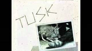 Camper Van Beethoven Tusk.