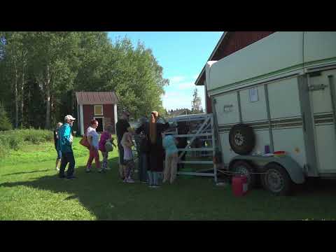 Pattijoki-päivat 2023