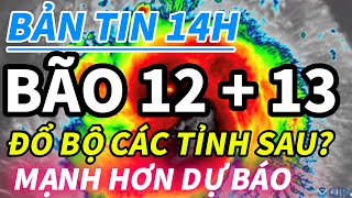 ⚠️ EMERGENCY: STORM NO. 12 HAS MADE LANDING IN THE CENTRAL REGION - QUANG NAM, QUANG NGAI, BINH D...