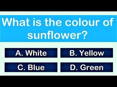 Quiz Time | Colour Quiz for Kids | Colour Test for kids