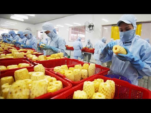 , title : 'How it made Dried Fruit and Fruit Snack - Durian,Strawberry,Pineapple Chips Processing in factory'