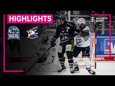 Straubing Tigers - Adler Mannheim | PENNY DEL | MAGENTA SPORT