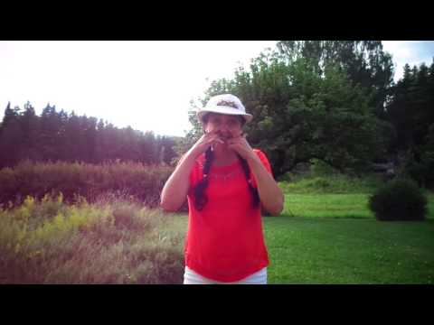 Suecia e curiosidades do idioma