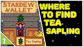 [SV] Stardew Valley: Where To Find Tea Sapling: Update 1.4