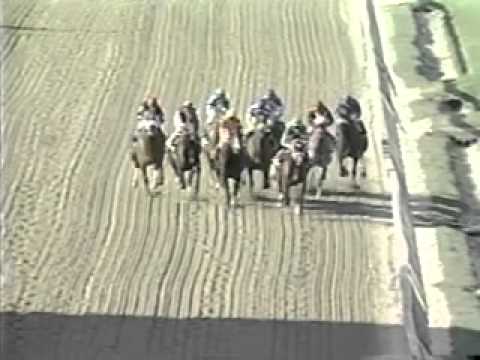 131st Preakness - May 20, 2006