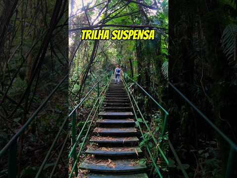 PARNASO | Teresópolis. 💚 #parnaso #teresopolisrj #riodejaneiro #natureza #trilhas #brazil #shorts