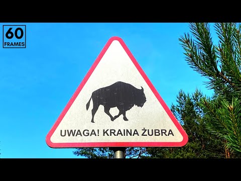 PODLASIE na weekend - czy WARTO ?