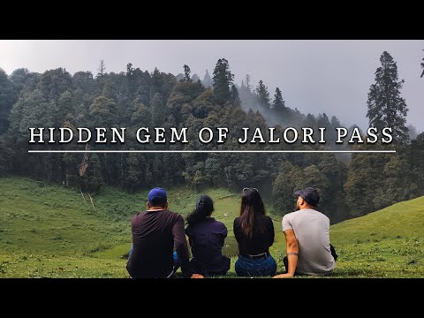 HIDDEN GEM OF JALORI PASS TREK 🏔 | Walking into the clouds ⛅️ | Fruit picking 🍒 | TIRTHAN VALLEY
