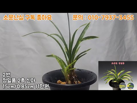 유튜브 썸네일