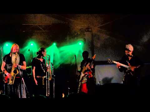 00016 The Shaolin Afronauts