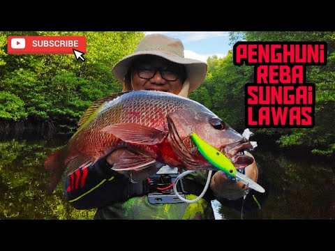 Episod 48: Siakap Merah Sungai Lawas Power!