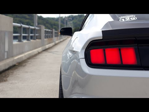 Raxiom Profile Tail Lights 2015+ Mustangs