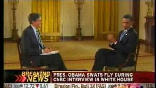 Obama Swats Fly during CNBC Interview
