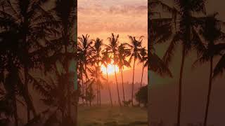 バリ島ウブド近郊/朝の光景/2025年9月6日(土) #バリ島 #ウブド #海外生活