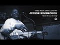 Junior Kimbrough - Baby Please Don't Leave Me (Official Audio)