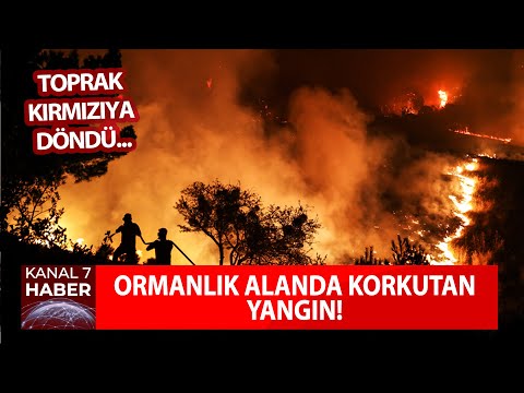 Çanakkale'de Yürek Yakan Görüntüler!