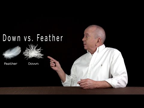 Down vs. feather. The differences are explained here...