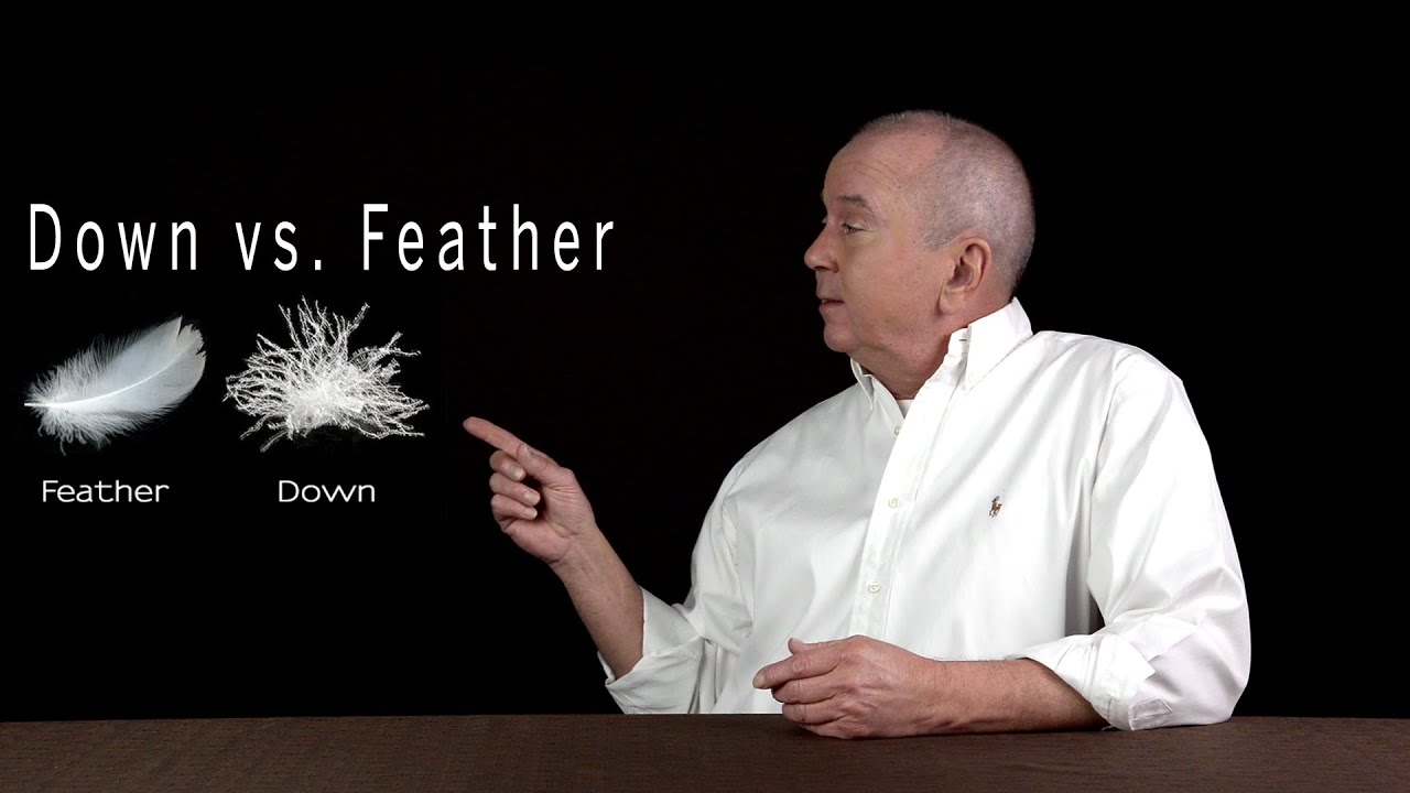 Down vs. feather. The differences are explained here...