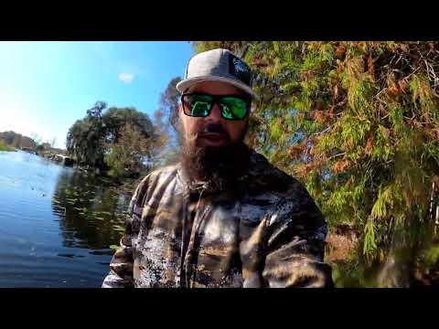 Catching a HUGE bass on the Harris chain of Lakes FL, bed fishing