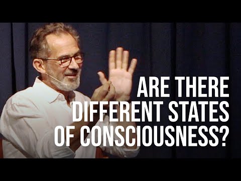 Is Awareness the Same When Awake and Asleep?