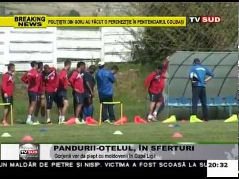 pandurii otelul, in sferturi