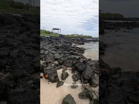 Explorando el océano en Santa Cruz #santacruzdelasierra🇳🇬 #galapagos #ecuador