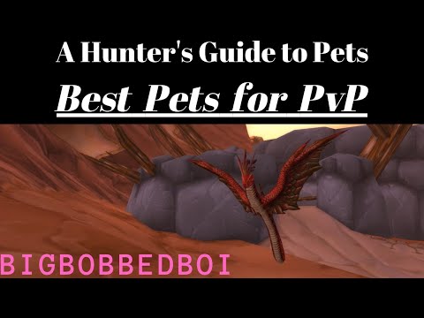 A Hunter's Guide to Pets : Best Pets for PvP | Classic WoW Tutorial