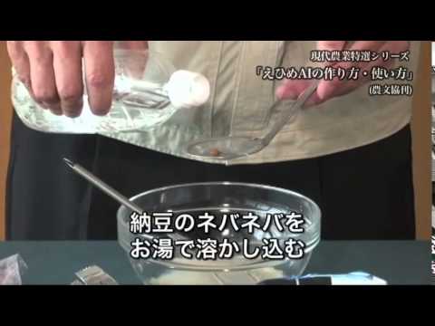 ヘミオネ (Equus hemionus)