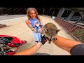 Riding With My RACCOON In DOWNTOWN Chicago