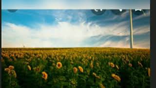 Jesse y Joy :Por siempremente