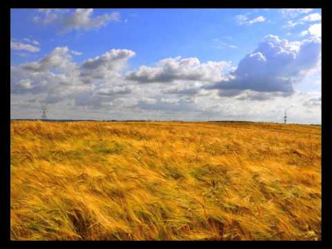 DNS Project pres Whiteglow - Airbourne (Original Mix) ~HD~