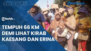 Berita Solo Hari Ini: Warga Purwodadi Tempuh 66 KM ke Solo Demi Lihat Kirab Kaesang dan Erina