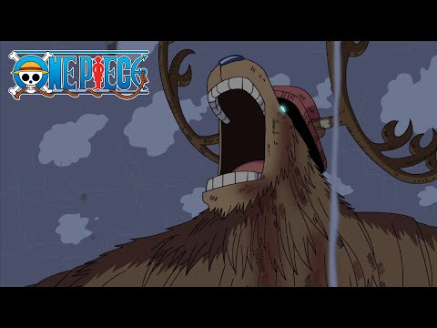 Chopper's Monster Point Transformation | One Piece