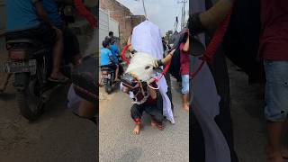 Download lagu (Geleng geleng )#bantengan #bantenganmalang #bantenganngamuk #bantengannusantara #djbantengan mp3 Download lagu (Geleng geleng )#bantengan #bantenganmalang #bantenganngamuk #bantengannusantara #djbantengan mp3