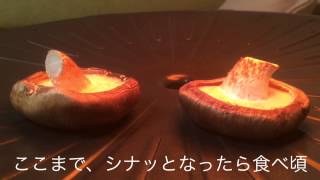 ザイグルシンプルで、椎茸を焼いてみた！