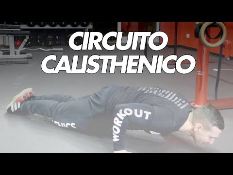 Beginner Calisthenics Circuit: 8 Exercises for 30 Minutes