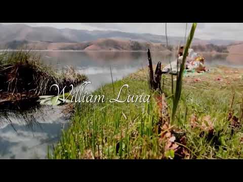 William Luna - Vida Mia                         ( Video Clip Oficial )