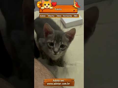 Vídeo de Tukito