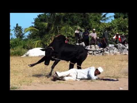 NYOTA NAKUAMINI - MAULID MACHAPRALA